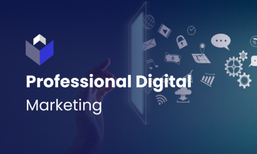 Digital Marketing Professional Course